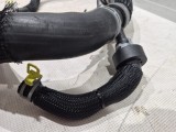 Lower Hose